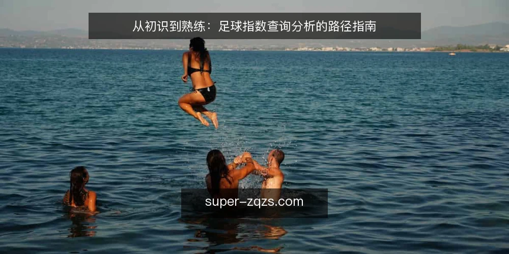 从初识到熟练：足球指数查询分析的路径指南 — 起点：认识足球指数的基本盘 配图