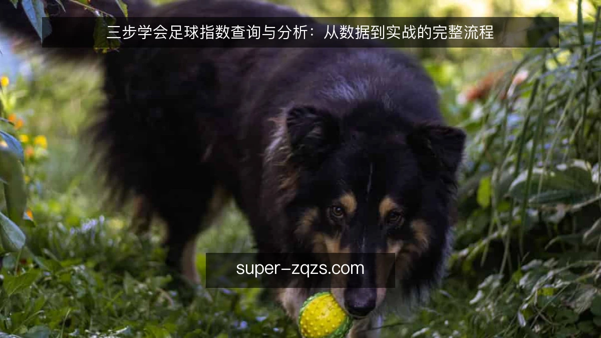 三步学会足球指数查询与分析：从数据到实战的完整流程