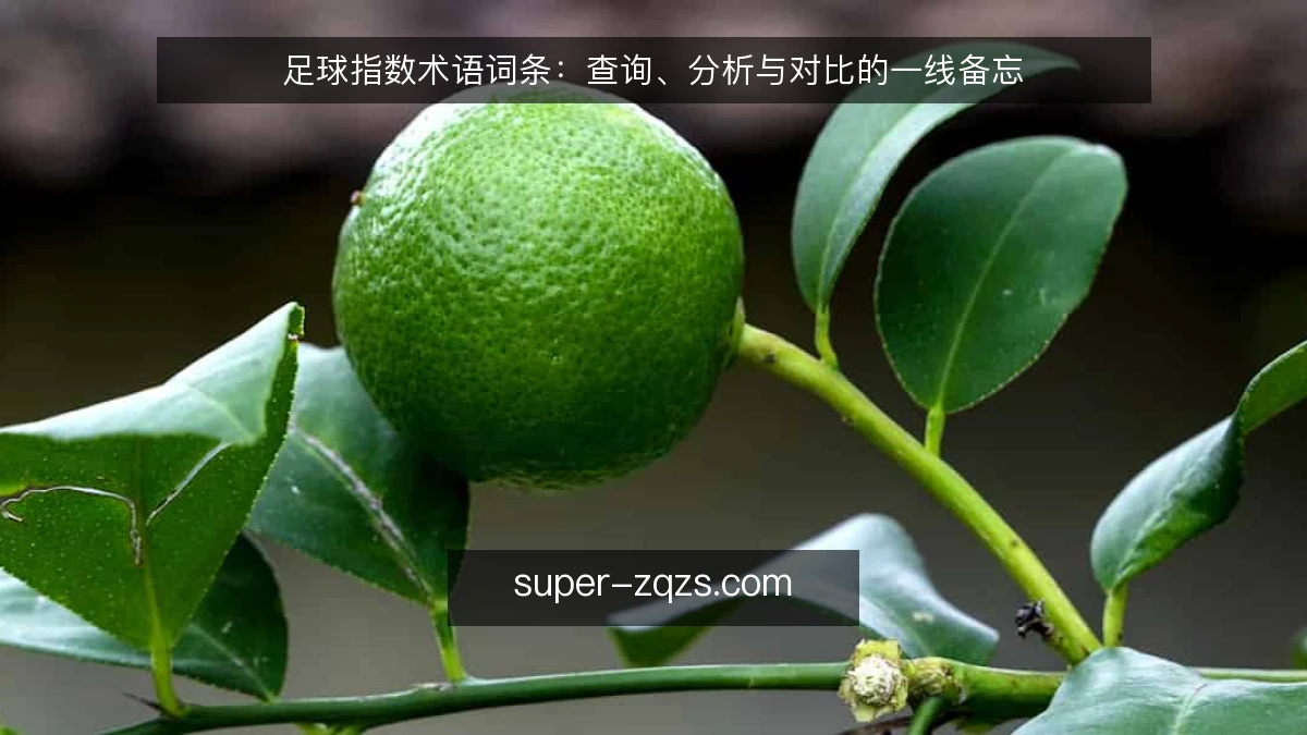 足球指数术语词条：查询、分析与对比的一线备忘